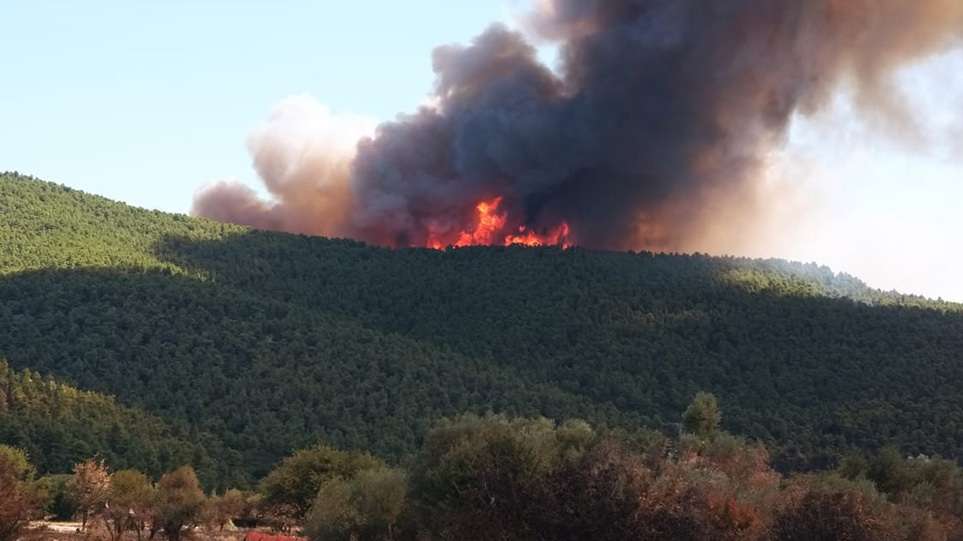 You are currently viewing Μεγάλες πυρκαγιές σε Βίλλια και Κάρυστο!