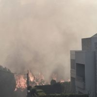 Κατερίνα Στεφανίδη: Η φωτιά έφτασε στο σπίτι της στην Παλλήνη (vid)