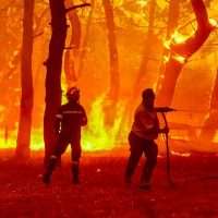 Λέσβος: Εικόνες καταστροφής από την φωτιά (vids)